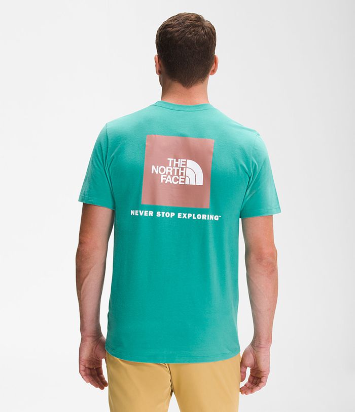 Camiseta The North Face Hombre Verde Manga Corta Box Nse 78913FRSV